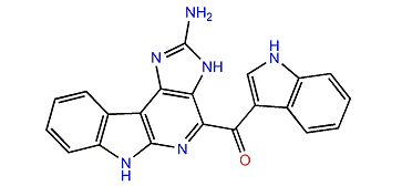 N,N-Didemethylgrossularine 1
